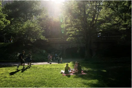 Picture taken in Central Park. Even in cities, nature provides health benefits… and happiness.